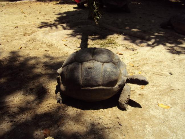 DSC02972_resize.JPG